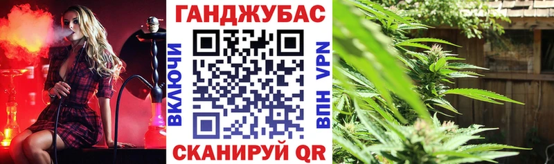 Шишки марихуана THC 21% Купить Искитим